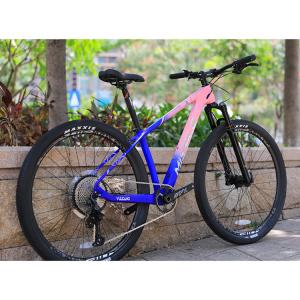 China 12 Speed Downhill Mountain Bike with Sunshine 11-50T Cassette and Aluminum Alloy Fork supplier