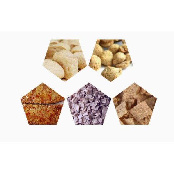 China 英語版大豆タンパク質ライン / 大豆チャンク製造機 AutoCAD形式 wholesale