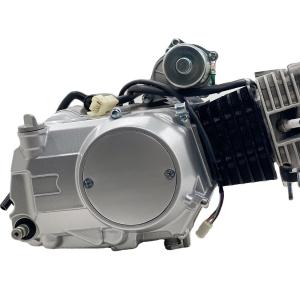 Silver 135cc Motorcycle Engine Single Cylinder 4 Stroke Air Cool Engine Assembly for DAYANG Tricycles