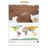Paper Scratch World Map
