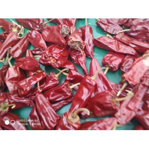 China Grade A 3000-5000shu Jinta Chilli Pepper With Sweet Taste supplier