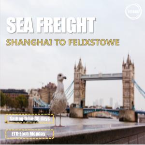 EMC YML Liner International Sea Freight Logistics  From Shanghai To Felixstowe UK