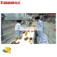 China Commercial  Mango Processing Line Pineapple Juice Machine SUS304 on sale