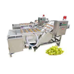 China Fruit And Vegetable Production Line Cutting Washing Drying Frozen Line Salad Processing Line supplier