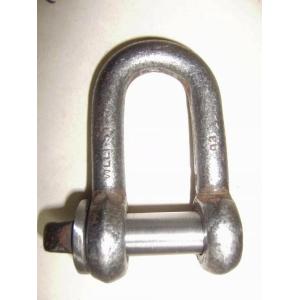 BS3032 large dee shackle