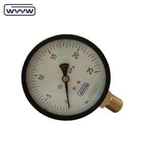 4" Bellows Low Pressure Gas Gauge 100mm Bottom Mount Style