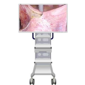 China Câmera médica do monitor do endoscópio com tela 55inch supplier