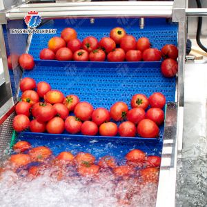 China 多機能の果物と野菜の加工ライン平行のブラシ機械 wholesale