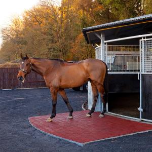 Recycled Rubber Horse Stall Mats , Anti Slip Rubber Flooring With 4 . 5cm Thickness