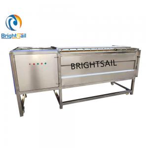 Industrial Factory Ginger Washing Machine in Washing Machines from Brightsail