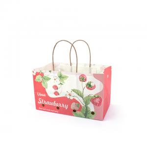 OEM Printing Fruit Paper Bags With Logo/Handling That The Customers Supply Brand