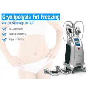 Fat Freeze Cryolipolysis Treatment For Body Slimming
