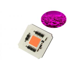 High Efficiency Driverless 100W AC220v 380-780nm COB Led Full Spectrum Grow Light Chip for Led Plant Growing Light