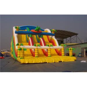 China Dinosaur Kids Blow Up Water Slide Obstacle Course , Huge Blow Up Water Slide For Pool supplier