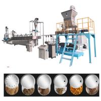 China Twin Screw Floating Feed Making Machine Puppy Fish Food Pellet Making Machine on sale