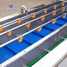 China 野菜洗浄ライン アナナスの汁加工ライン アナナスの泡洗浄と振動式空気乾燥ライン 果物加工機械 アナナスの加工ライン wholesale