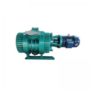 1.10kw-11kw Roots Vacuum Pump Used In Electronics / Machinery ZJ ZJB Series