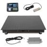 China Direct Supply 2 * 1.2-meter 500kg Carbon Steel Platform Weighing Scale with Digital Indicator and AC/DC Power Supply wholesale