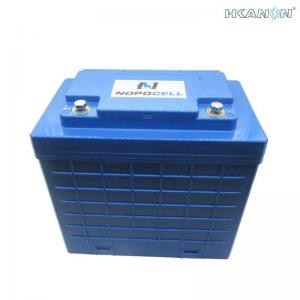 China Lion Lithium-ion Li-ion Battery Pack 12V 100Ah for Solr Inverter Street Light RV supplier