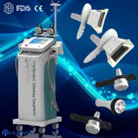 China Fat Freezing fat removal weight loss cryolipolysis slimming machine skin cosmetics clinic on sale