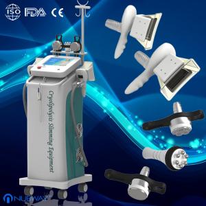 cryolipolysis fat loss machine for fat loss weight loss clinic