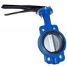 China Manual Operated Wafer valve butterfly Ductile Iron GGG40 Body wholesale