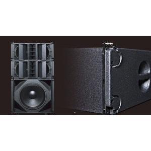 Three Way Dual 10 Inch Pro Audio 1000W Line Array Speaker For Event