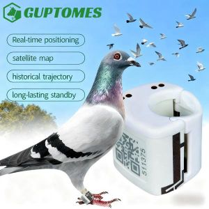 China Geo Fence Pigeon GPS Tracking Device Waterproof With Flight Path Historical Trajectory wholesale