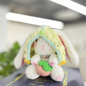 China DIY Knitting Strawberry Rabbit Crochet Kit For Beginners Adults And Kids With Yarn supplier
