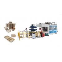 China Smart Disposable Paper Pulp Molding Food Tray Producing Machine With Two Robot Arms on sale