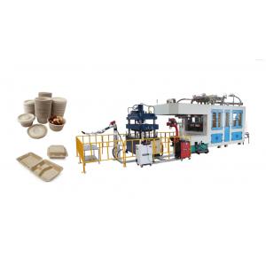 Smart Disposable Paper Pulp Molding Food Tray Producing Machine With Two Robot Arms