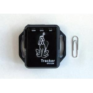 China Pet Tracking Device P100 supplier