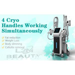 China CE approved cool sculpting weight loss equipment machine  4 cryo handles fat freezing cryolipolysis supplier