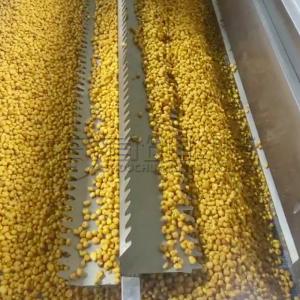 Continuous Drying Peanuts Kola Nuts Belt Dryer Nuts Beans Dehydrator Machine