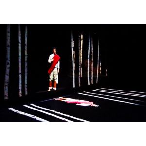 China El vídeo de encargo de HD basó el sistema de proyección olográfico 3d para la presentación del holograma on sale