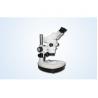 zoom stereo microscope magnification to 300X