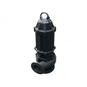 Rain Drainage Fecal Submersible Sewage Water Pump 22kw 30hp 3 Phase IP68