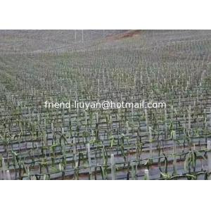 100gsm Breathability Polypropylene Ground Cover Land Moisture Pp Woven Fabric