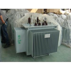 Electric Distribution Power Plant Transformer For Micro Hpp