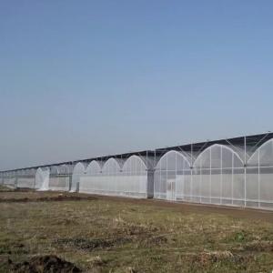 Customized Multi-Span Film Greenhouse for Planting Flowers 30 Day Money Back Guarantee