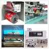 Semi Automatic Fruit Vegetable Packing Machine / Eggplant Sachet Packing Machine