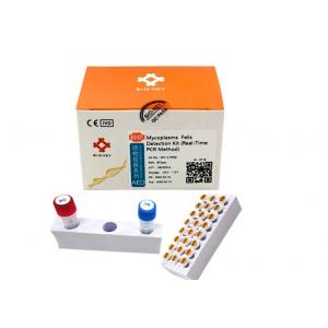 Nucleic Acid Mycoplasma Detection Kit MFV Real Time Quantitative PCR