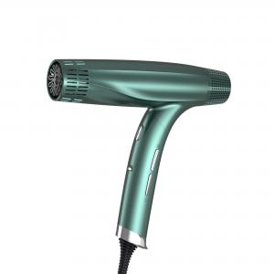 China Leafless Brushless Hair Dryer Negative Ion High Speed Hair Dryer supplier