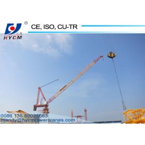 China 60m Jib 2.9ton Tip Load Construction Industry Hydraulic 12ton Luffing Jib Tower Crane supplier