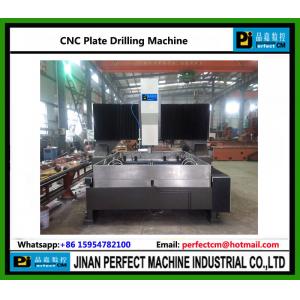 China CNC Gantry Type Drilling Machine for Plate (Model PD Series) supplier