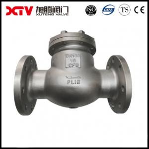 Industrial Usage Stainless Steel Flange Connector BS970 Straight S/S Swing Check Valve