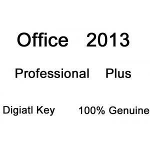 China Microsoft Office Professional Plus 2013 Product Key Retail Box Software With DVD supplier