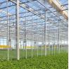 China JX-H0068 Anti-Drip Technology Greenhouse for Flower and Tomato Customization Offered wholesale