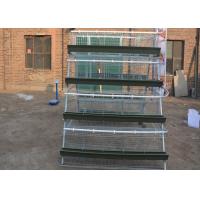 China Hens Galvanized Layer Battery Poultry Chicken Cages For Sale In Philippines on sale