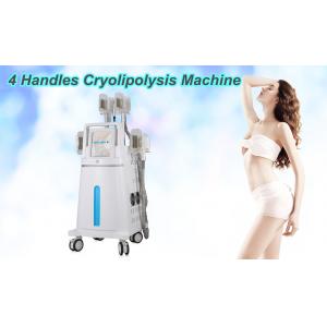 China Vacuum Cryolipolysis Slimming Machine / Four Handles Coolsculpting Equipment supplier